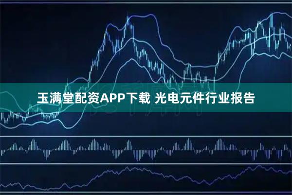 玉满堂配资APP下载 光电元件行业报告