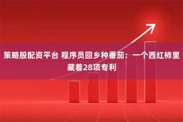 策略股配资平台 程序员回乡种番茄：一个西红柿里藏着28项专利